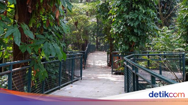 18 Tempat Wisata Gratis di Bandung, Bikin Senang Tanpa Perlu Keluar Uang – detikcom