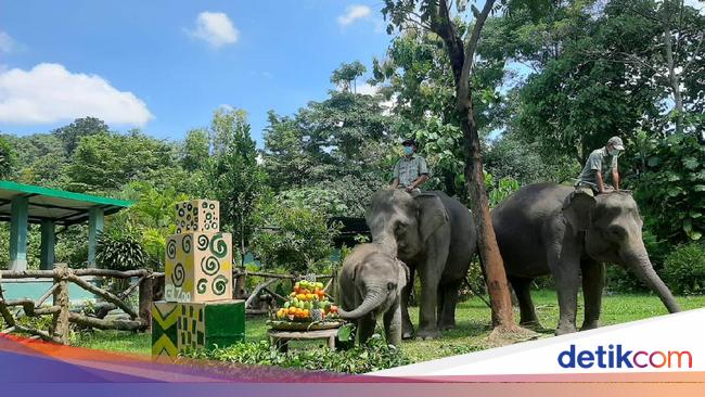 7 Tempat Wisata Edukasi di Jogja, dari Membuat Gerabah hingga Petik Buah – detikcom